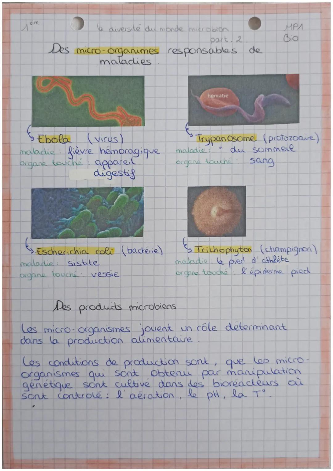 Mère
la diversité du
monde microbien
les micro- organismes sont des êtres vivants
infiniment petits. Certains sont susceptibles
de causer de