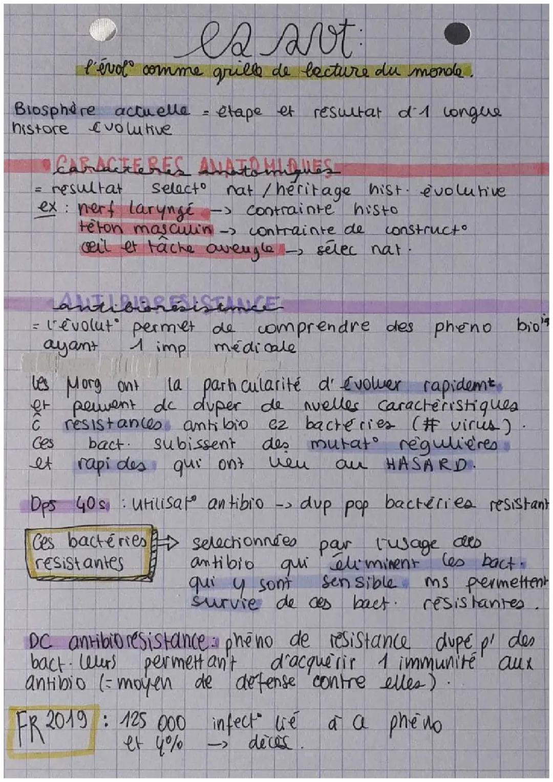 Que faire quand une bactérie résiste aux antibiotiques ? Découvre les mystères de l'Antibiorésistance