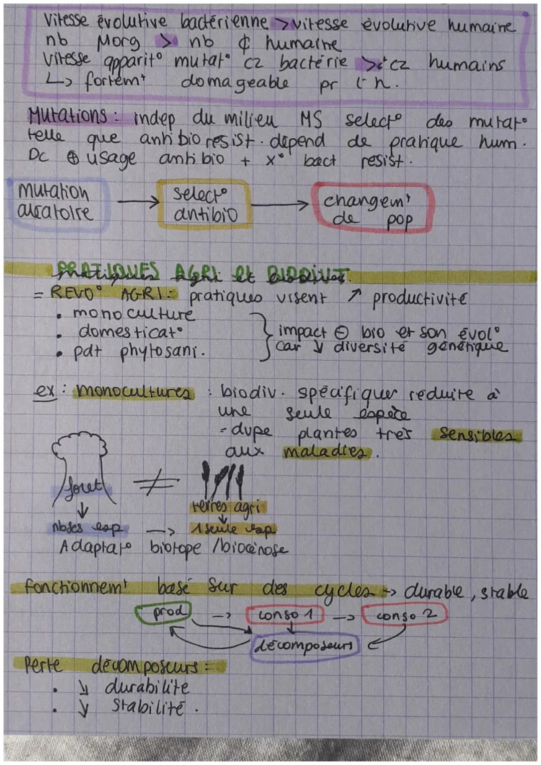 Biosphere actuelle
histore
evolutive
es svt:
l'évol comme grille de lecture du monde.
étape et
resultat d'1 longue
=
S
resultat
selecto
ex: 