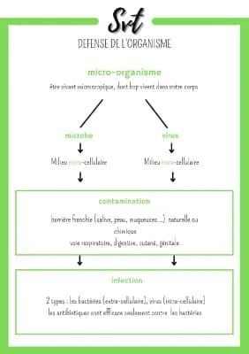 Know défense de l'organisme  thumbnail