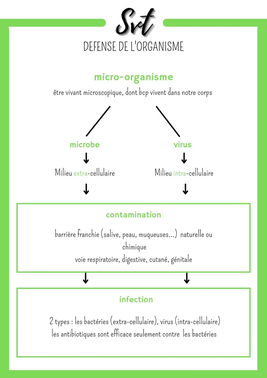 Srt
DEFENSE DE L'ORGANISME
micro-organisme
être vivant microscopique, dont bcp vivent dans notre corps
microbe
↓
Milieu extra-cellulaire
↓
v