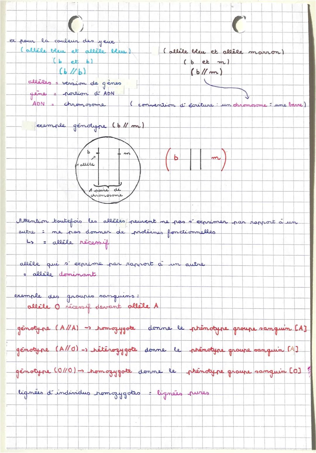 ECRITURE FORMELLE EN GÉNÉTIQUE
#visible à l'oeil nu
phenotype : ensemble des caractères observables d´ un individu
+
3 échelles moléculaire,