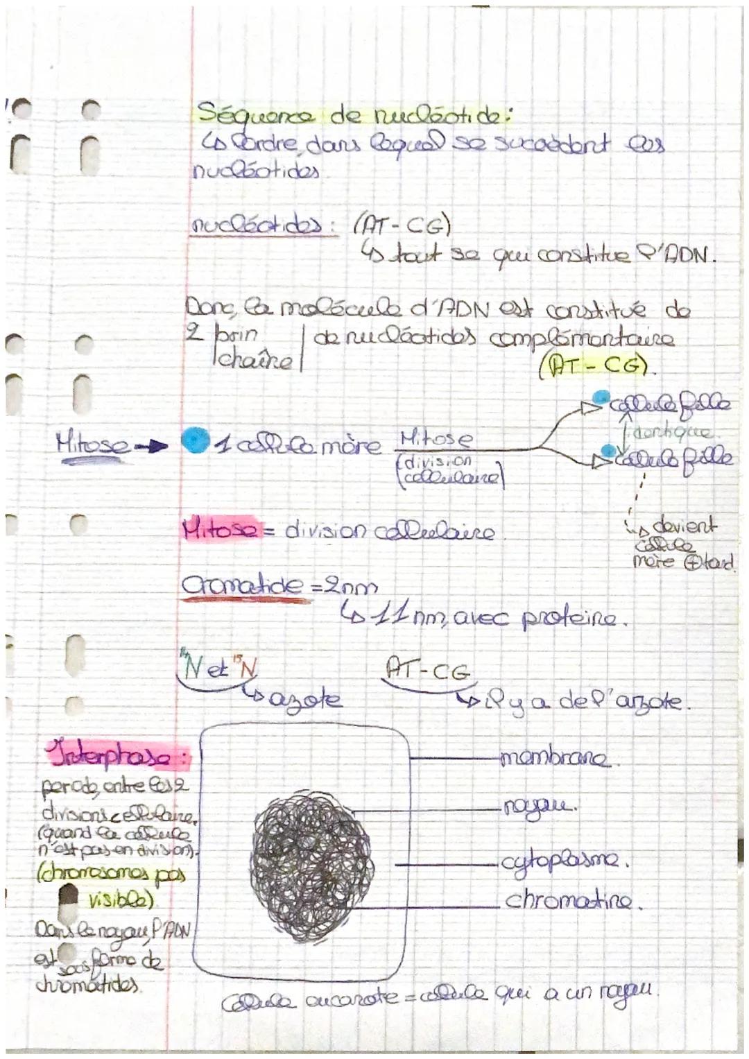 SVT.
decondensation

(206) (phase $G_1$: chromosome à 1 chromatide
interphase phase S duplication des chromosomes, et réplication
passord 2
