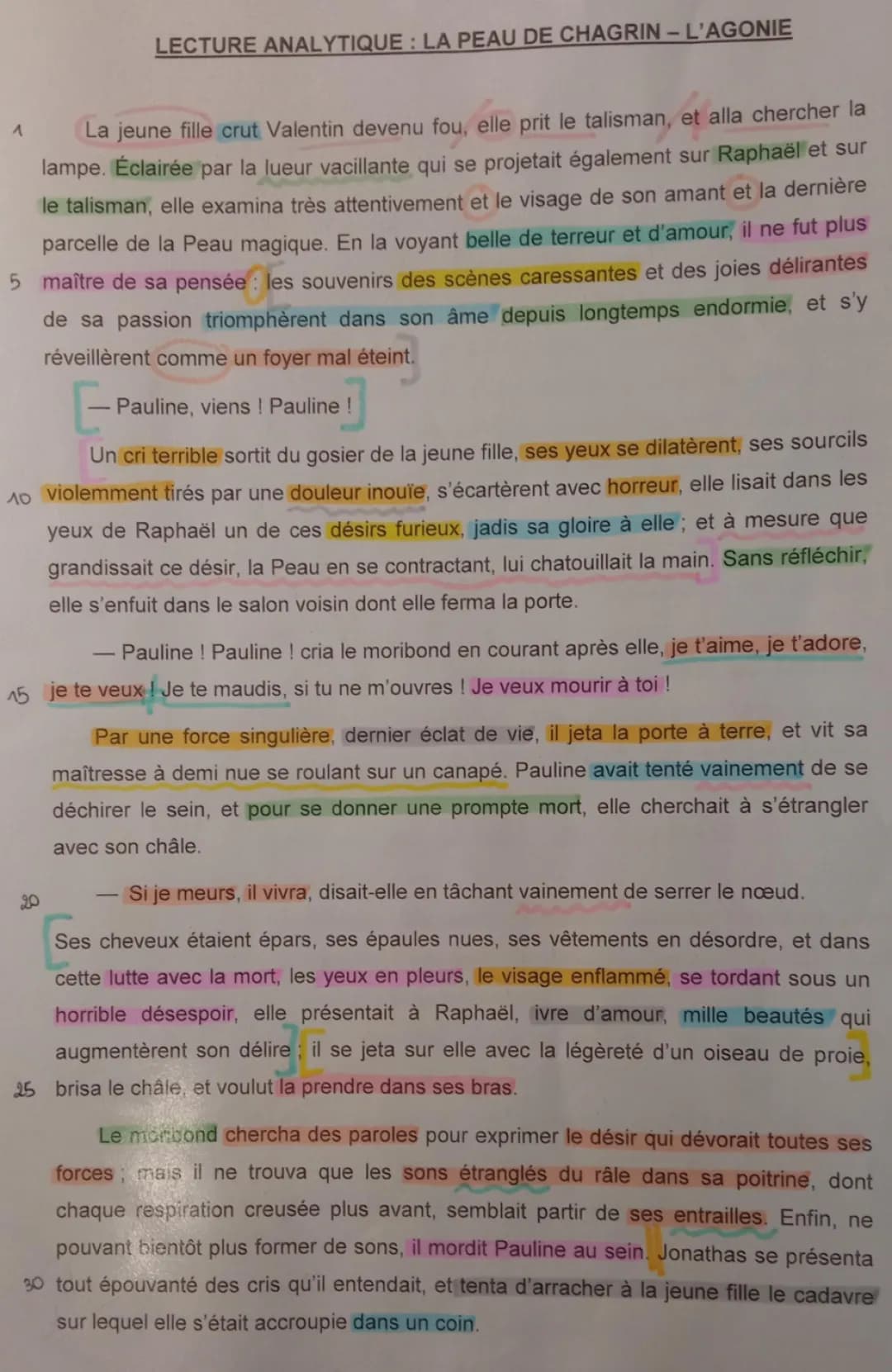 Analyse linéaire La Peau de chagrin partie 1, 2, 3 et résumé des chapitres