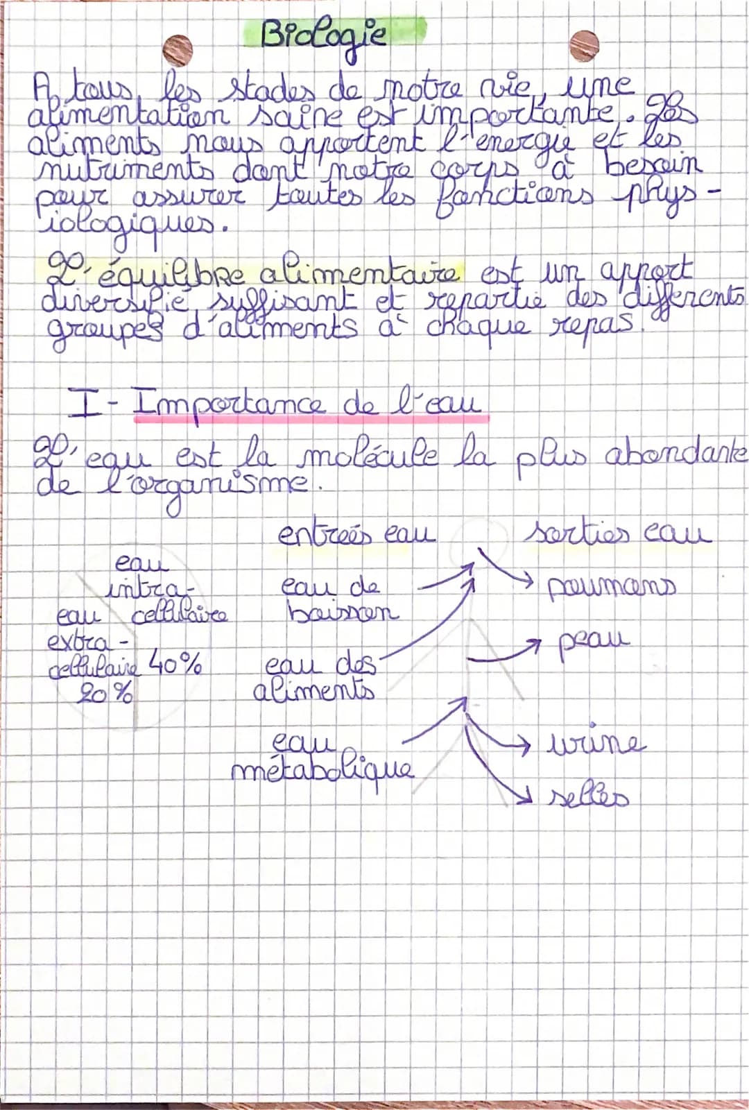 Biologie
A tous les stades de notre vie, une
alimentation
saine est importante. Lor
l''energie et
les.
besain
aliments nous apportent
nutrim
