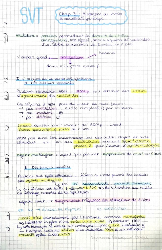 Know Mutations de l’ADN et variabilité génétique 💙 thumbnail