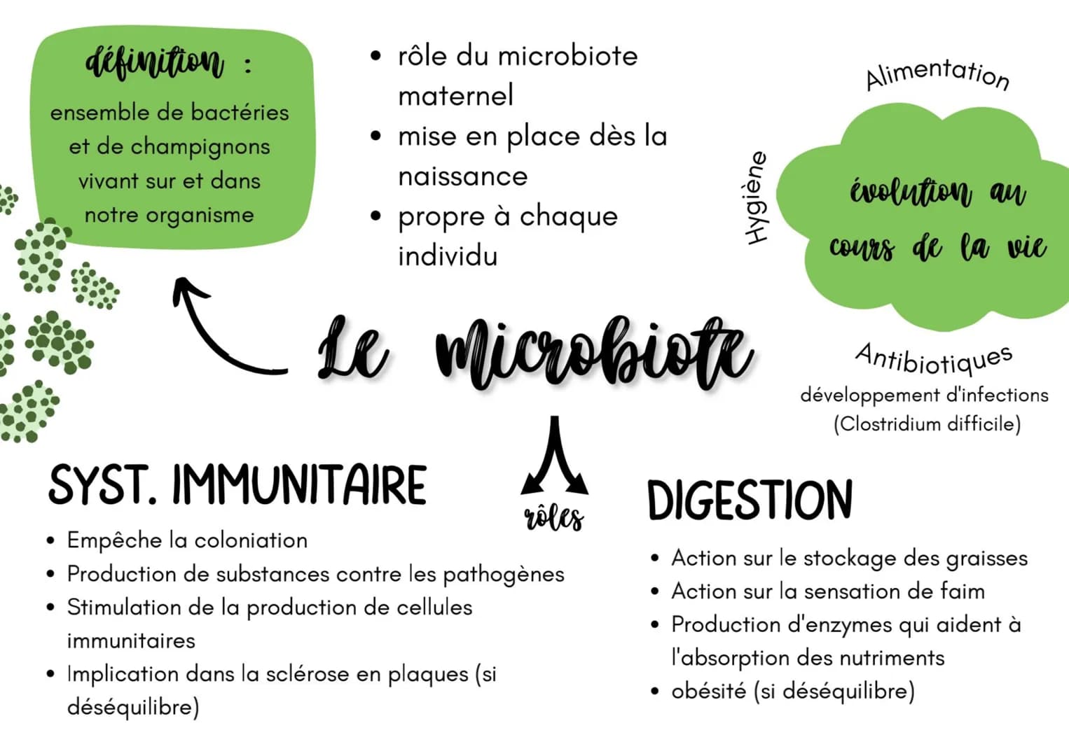 définition:
ensemble de bactéries
et de champignons
vivant sur et dans
notre organisme
●
rôle du microbiote
maternel
●
• mise en place dès l