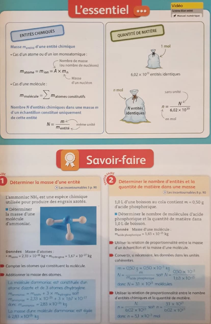 Cours
1 De la masse au nombre d'entités chimiques
▶ Masse d'entités chimiques
La masse d'un atome ou de l'ion monoatomique correspon-
dant e