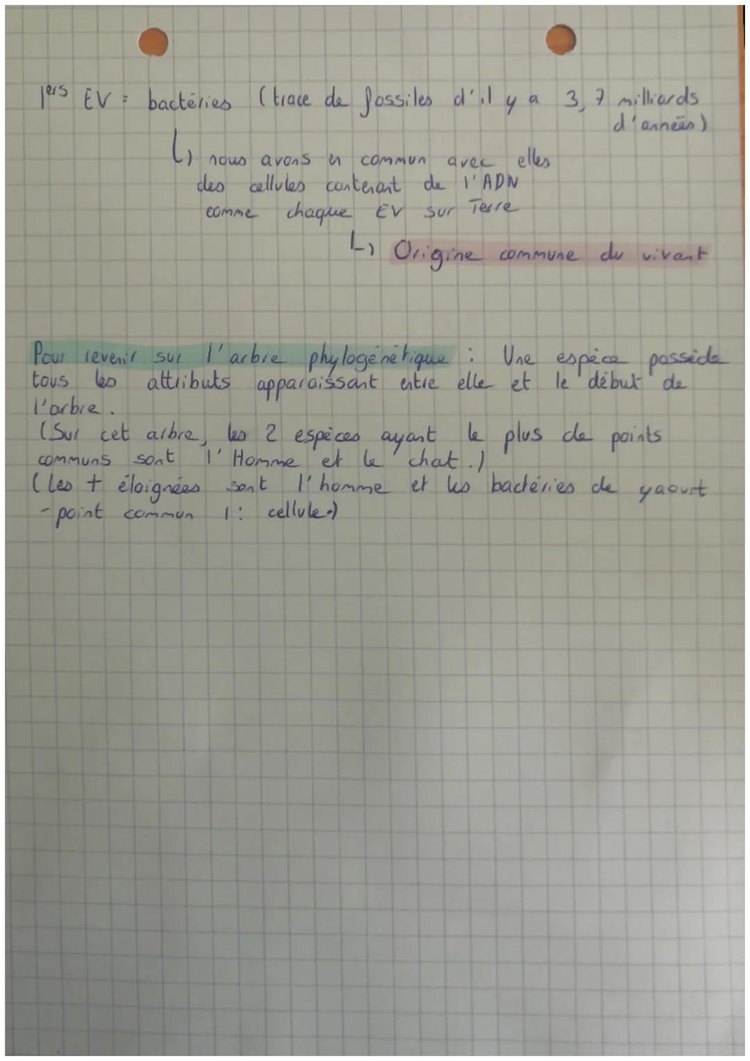 MADE IN
SVT
Les caractères communs qui permettent d'établir des liens de
parenté entre les espices sont appelés des attributs communs.
Plus 