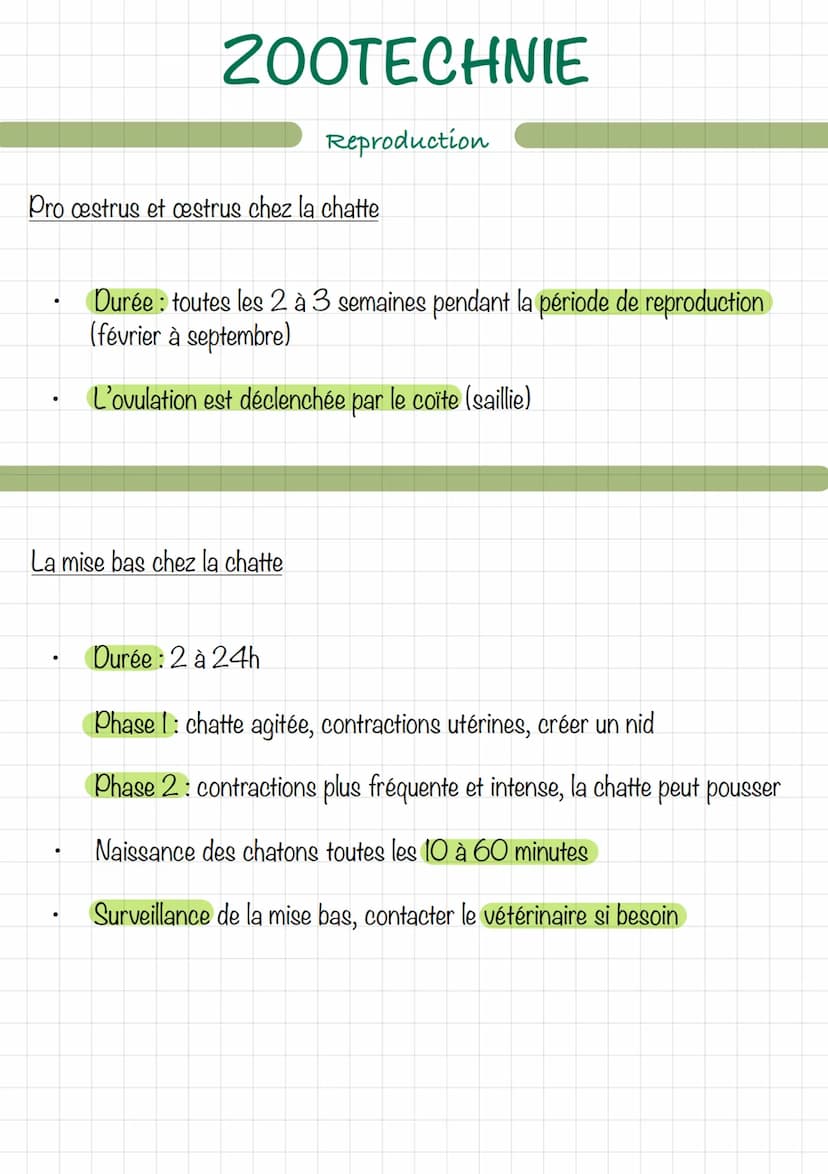 Le mâle (chien/chat)
Erdin
vom
ZOOTECHNIE
Découpe d'un testicule
Extern
16
Reproduction
wwwwwwwwwww
Ev
tête de l'épididyme
corps
de l'épidid