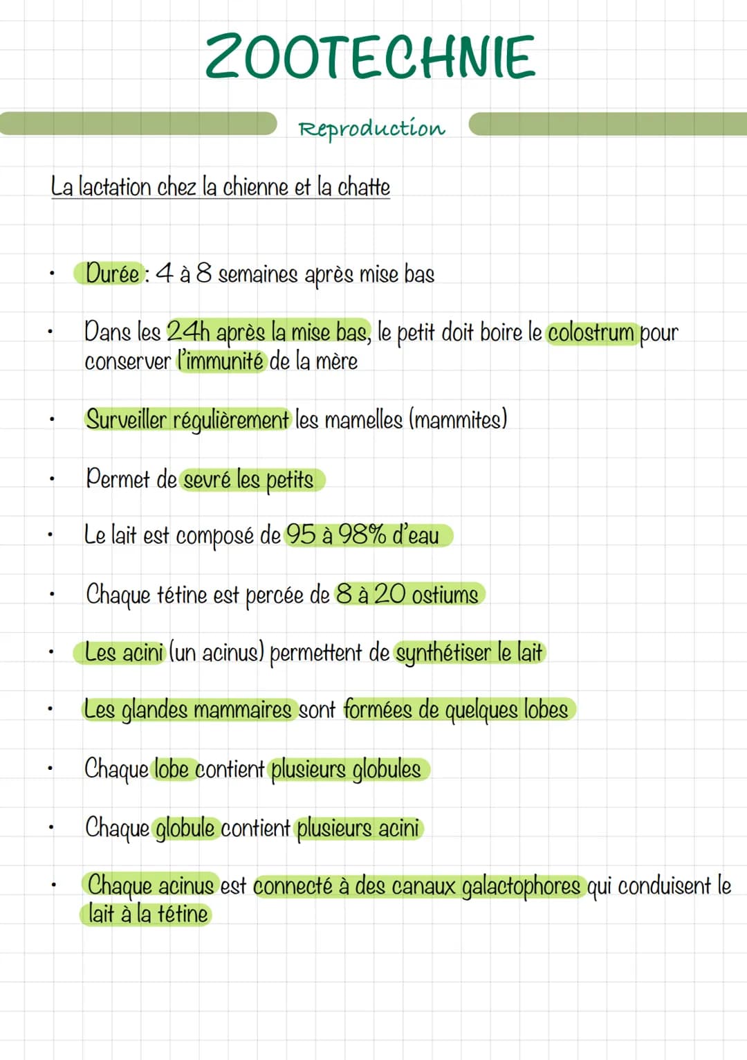 Le mâle (chien/chat)
Erdin
vom
ZOOTECHNIE
Découpe d'un testicule
Extern
16
Reproduction
wwwwwwwwwww
Ev
tête de l'épididyme
corps
de l'épidid