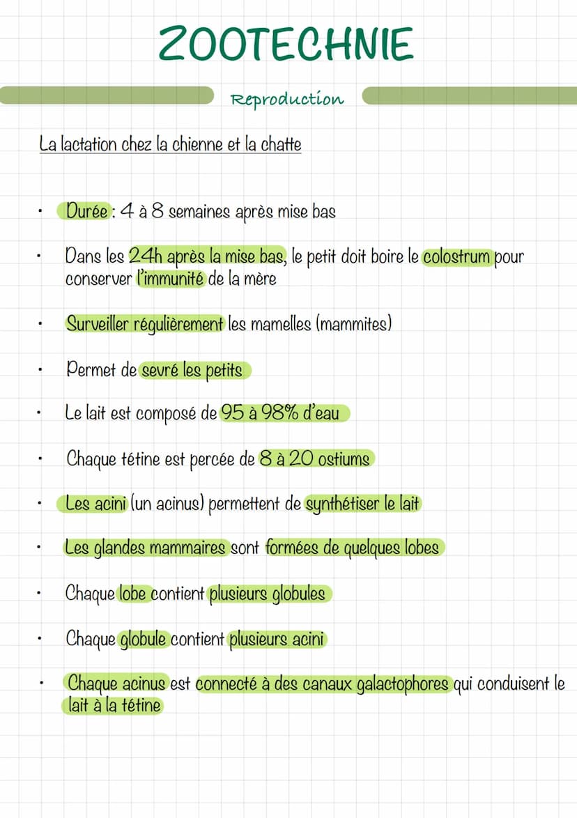 Le mâle (chien/chat)
Erdin
vom
ZOOTECHNIE
Découpe d'un testicule
Extern
16
Reproduction
wwwwwwwwwww
Ev
tête de l'épididyme
corps
de l'épidid