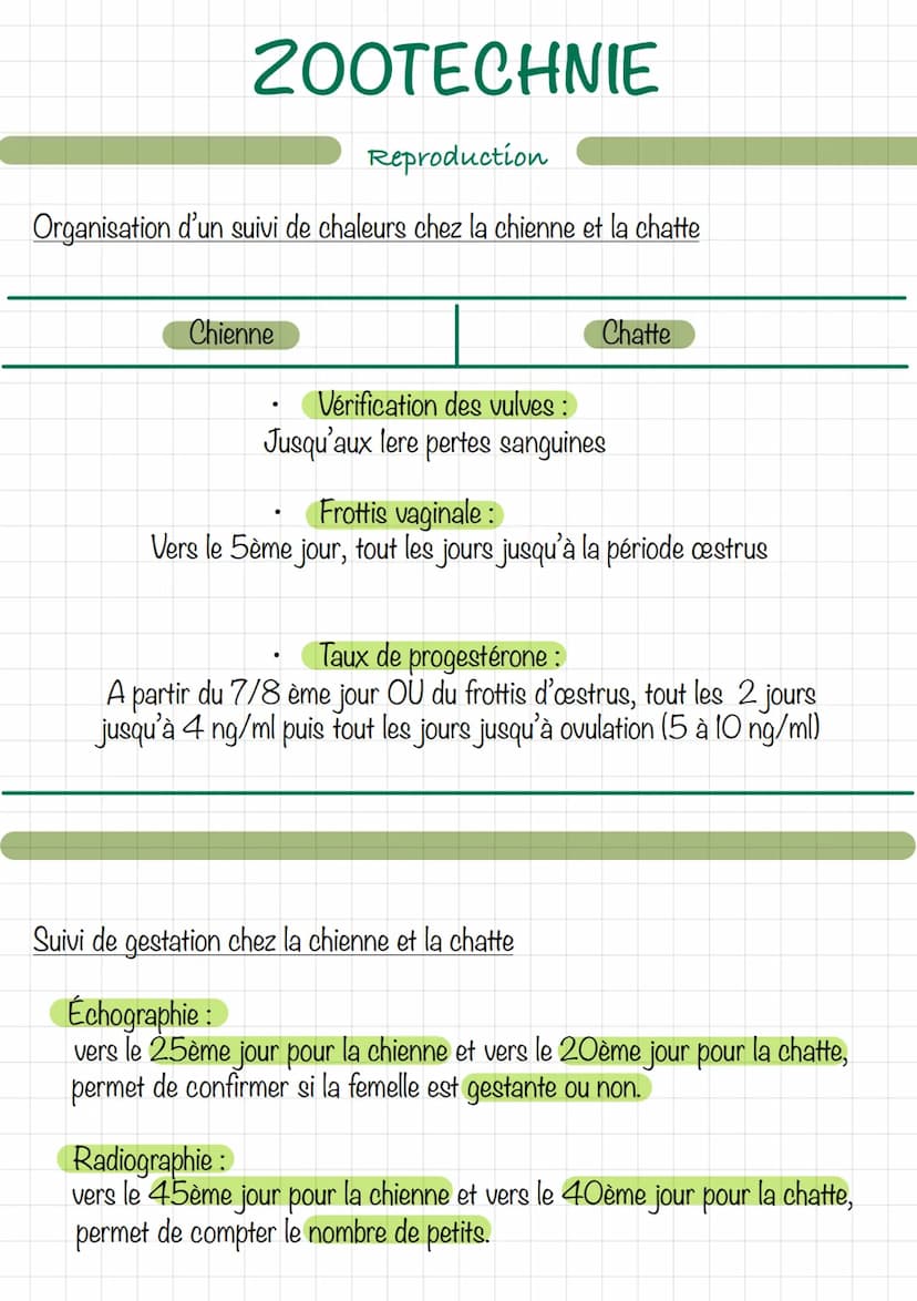 Le mâle (chien/chat)
Erdin
vom
ZOOTECHNIE
Découpe d'un testicule
Extern
16
Reproduction
wwwwwwwwwww
Ev
tête de l'épididyme
corps
de l'épidid