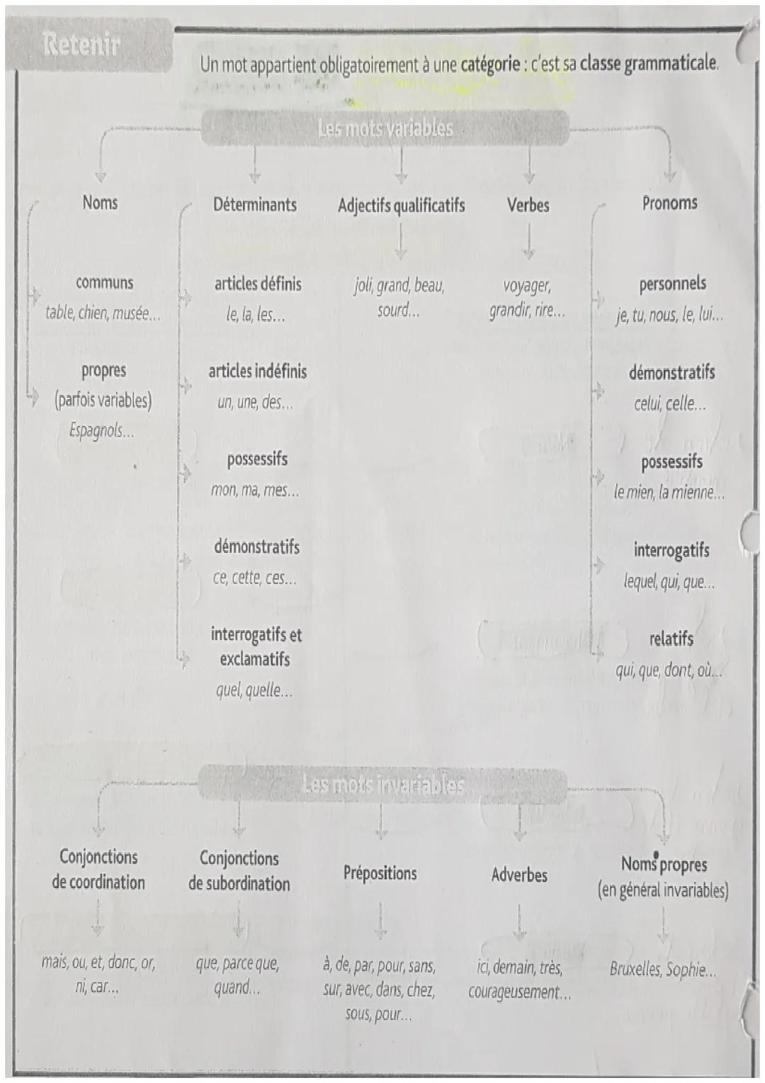Les mots variables