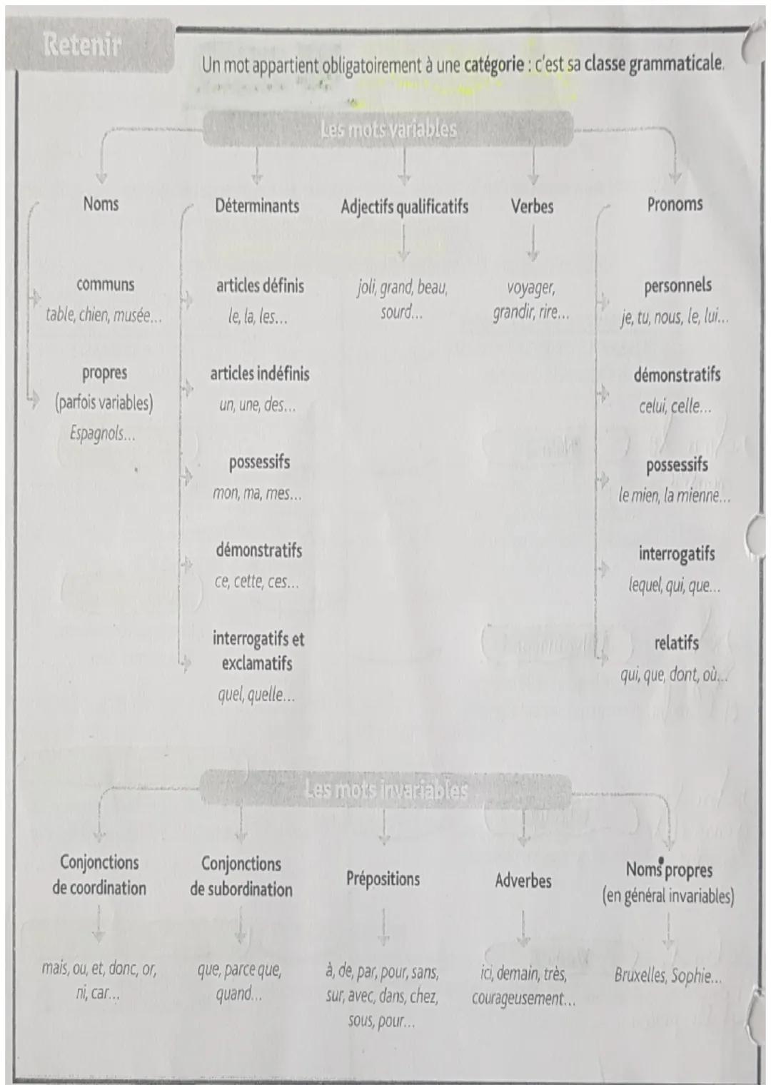 Retenir
Un mot appartient obligatoirement à une catégorie : c'est sa classe grammaticale.
Les mots variables
Noms
Déterminants
Adjectifs qua