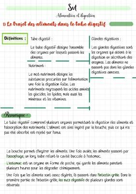 Know alimentation et digestion  thumbnail