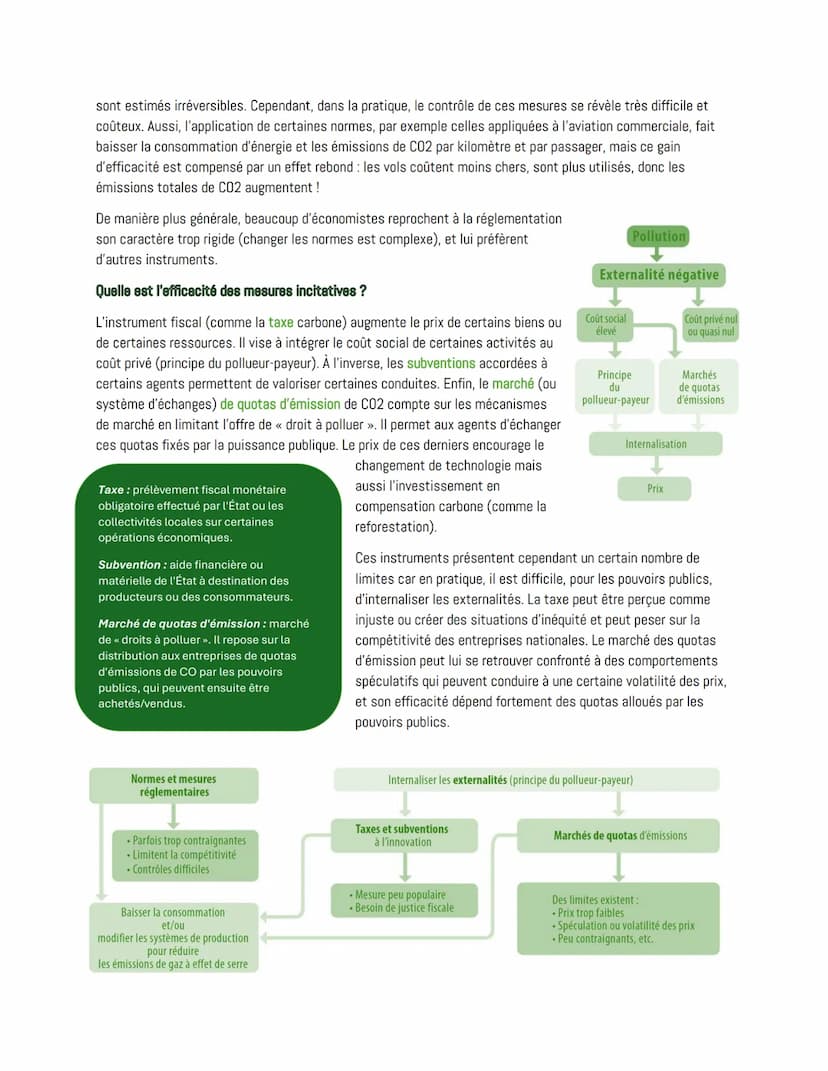 --- OCR Start ---
Chapitre 3:
Quelle action publique pour l'environnement ?
Environnement: capital naturel regroupant l'ensemble des
ressour