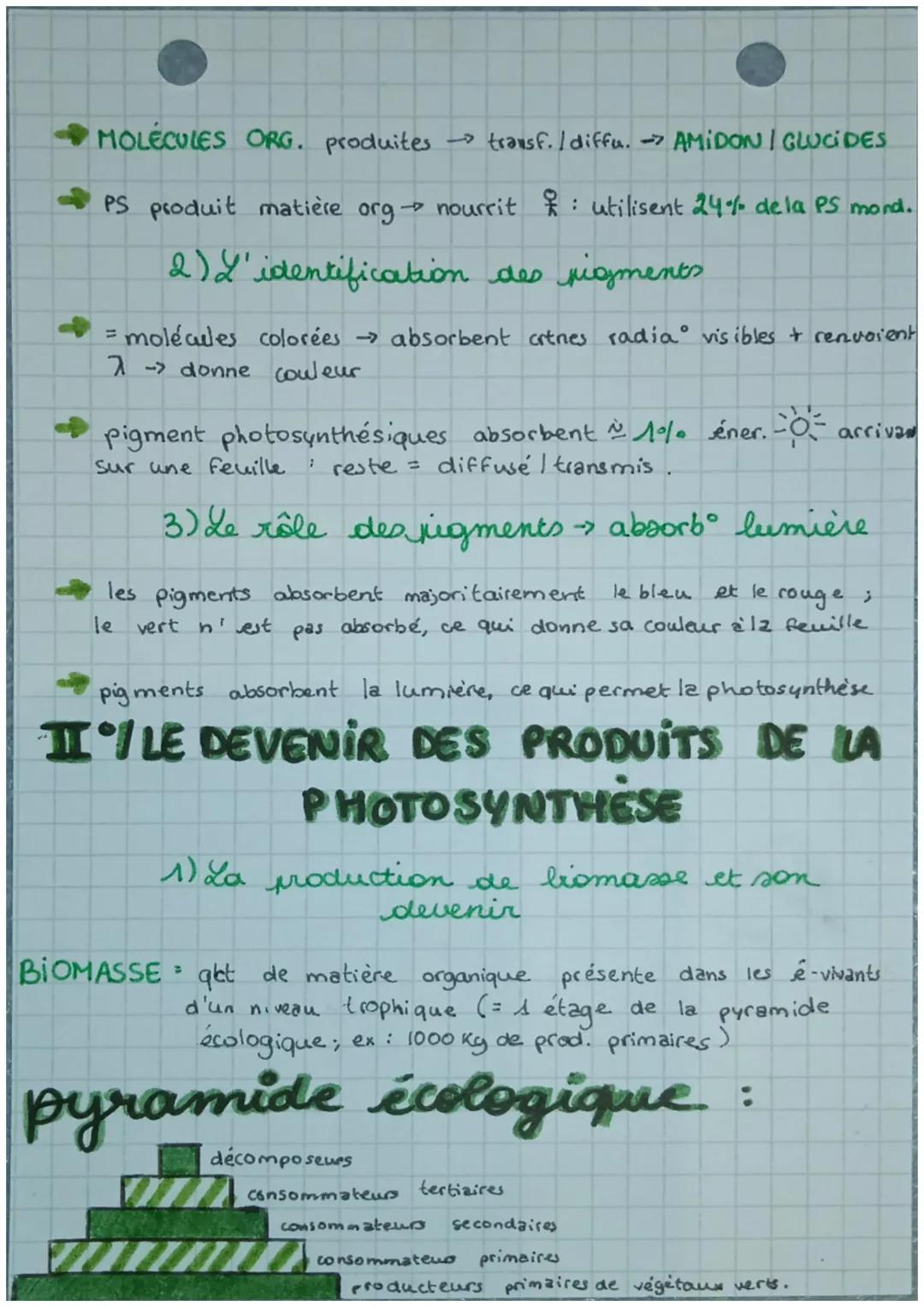 eS SUT
chops

•Chapitre 5.

LA PHOTOSYNTHÈSE ET LA CONVERSION
DE L'ÉNERGIE SOLAIRE

$
rightarrow$ Terre = conditions de vie optimales: T°+ p
