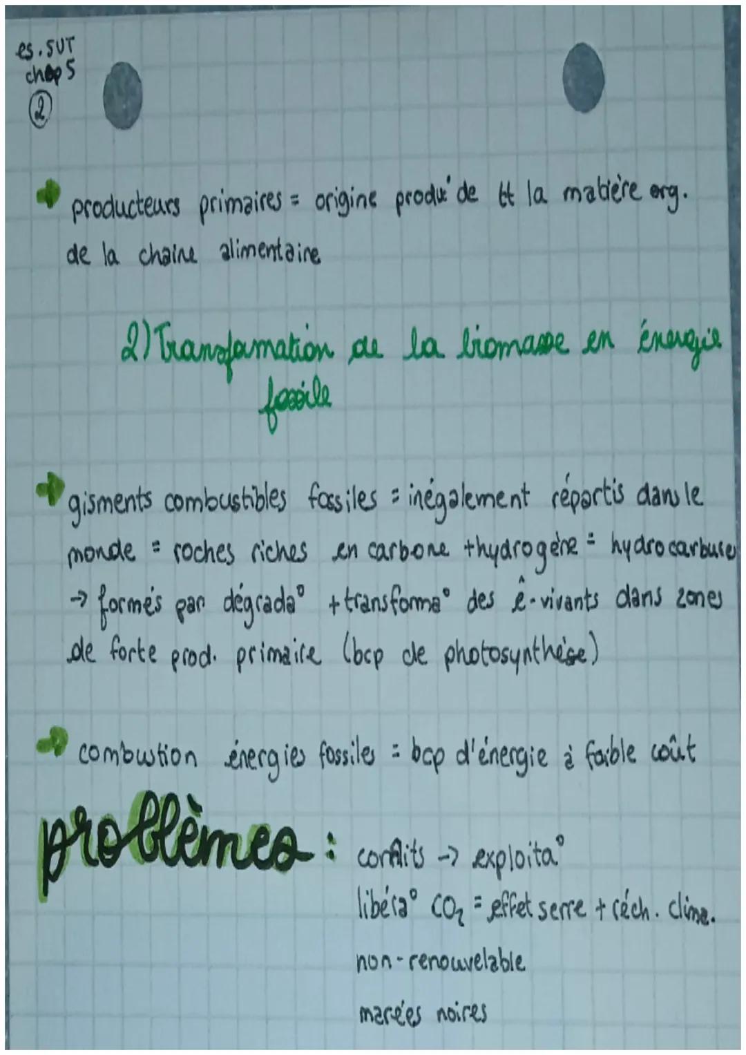 eS SUT
chops

•Chapitre 5.

LA PHOTOSYNTHÈSE ET LA CONVERSION
DE L'ÉNERGIE SOLAIRE

$
rightarrow$ Terre = conditions de vie optimales: T°+ p