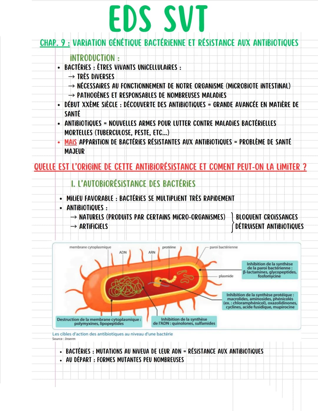 --- OCR Start ---
EDS SVT
CHAP. 9: VARIATION GÉNÉTIQUE BACTÉRIENNE ET RÉSISTANCE AUX ANTIBIOTIQUES
INTRODUCTION:
• BACTÉRIES : ÊTRES VIVANTS
