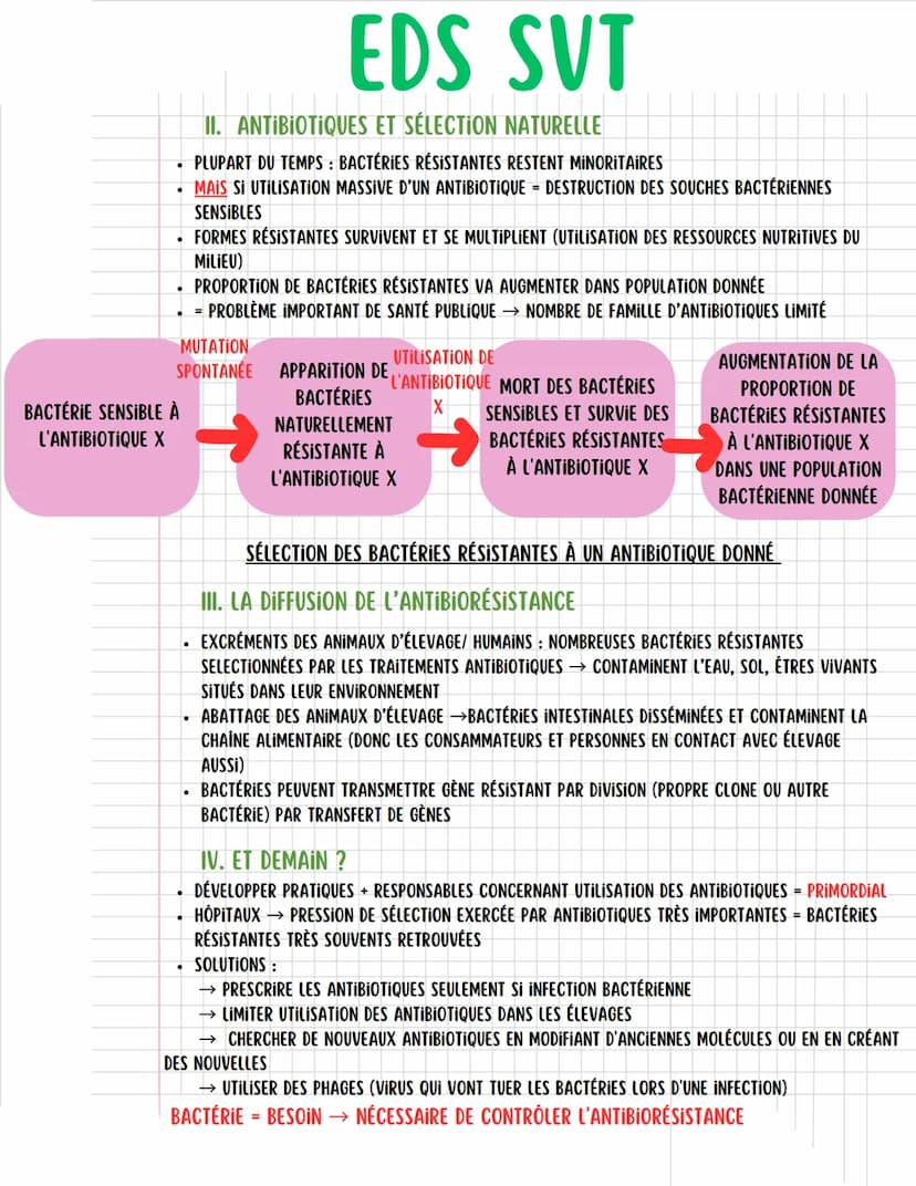 --- OCR Start ---
EDS SVT
CHAP. 9: VARIATION GÉNÉTIQUE BACTÉRIENNE ET RÉSISTANCE AUX ANTIBIOTIQUES
INTRODUCTION:
• BACTÉRIES : ÊTRES VIVANTS
