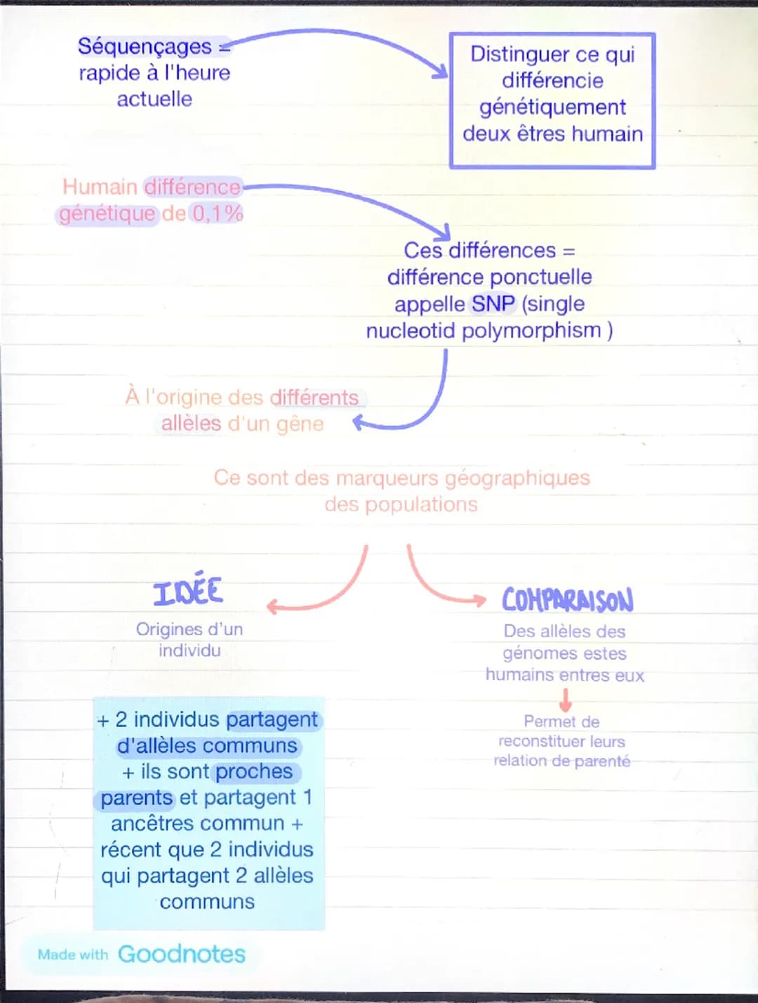 Chapitre 4: l'histoire humaine lue dans son génome
Mutations
touchent
aléatoirement
'ADN
peut
Crée nouveaux
allèles
Effets variées sur les
p