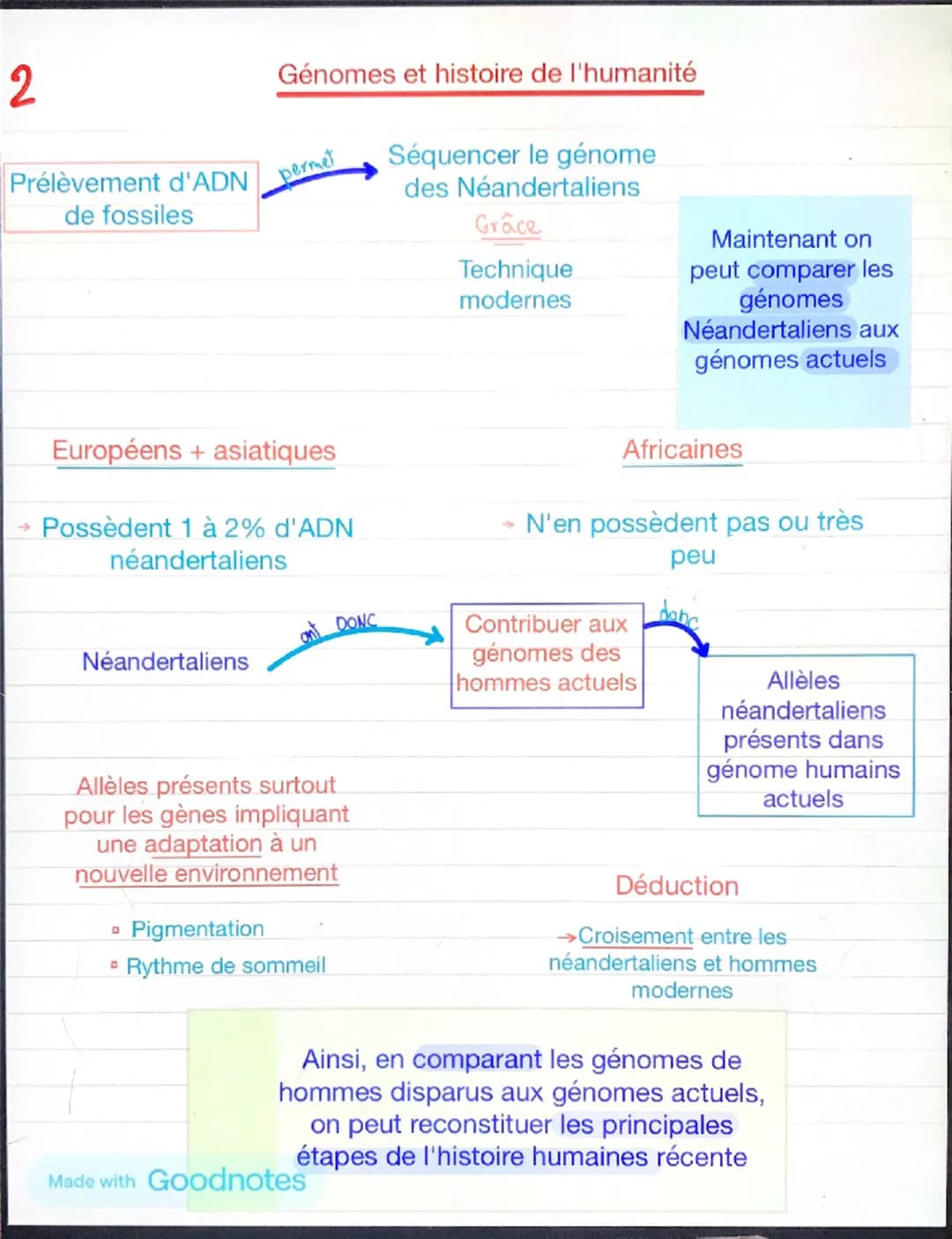 Chapitre 4: l'histoire humaine lue dans son génome
Mutations
touchent
aléatoirement
'ADN
peut
Crée nouveaux
allèles
Effets variées sur les
p