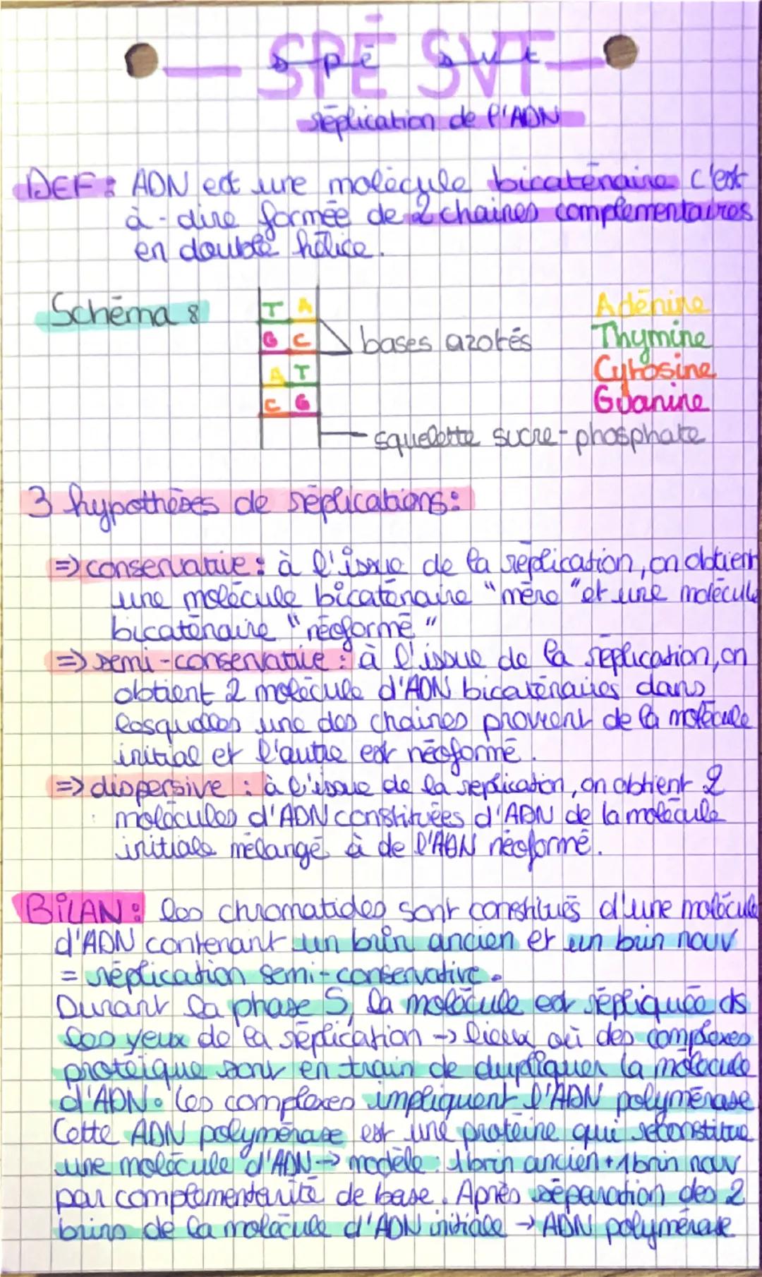 SPE SWT •
Seplication de P'AON
DEF: ADN est une molecule bicatenaire c'est
à-dire formée de 2 chaines complementaires
en double helice
Schem