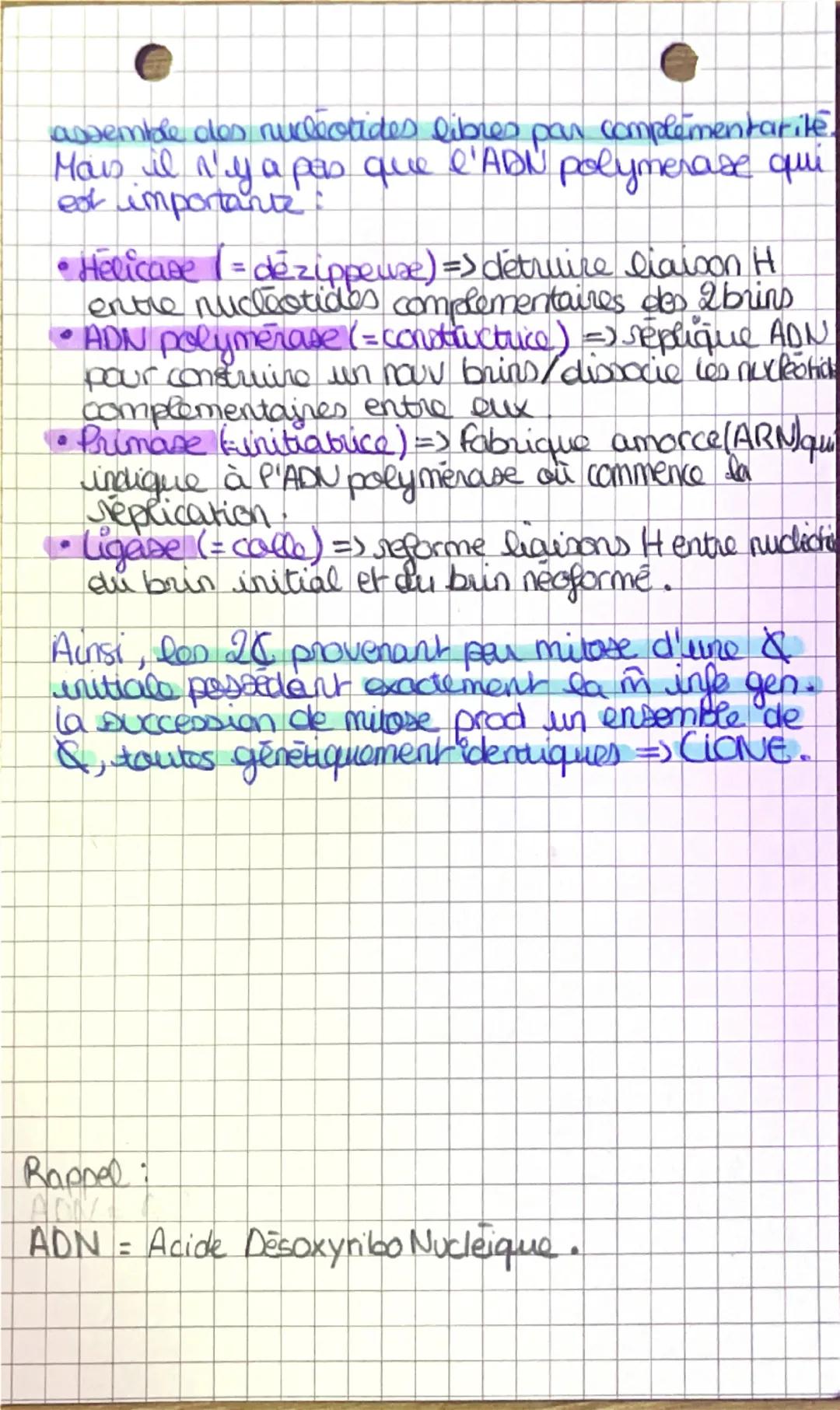SPE SWT •
Seplication de P'AON
DEF: ADN est une molecule bicatenaire c'est
à-dire formée de 2 chaines complementaires
en double helice
Schem
