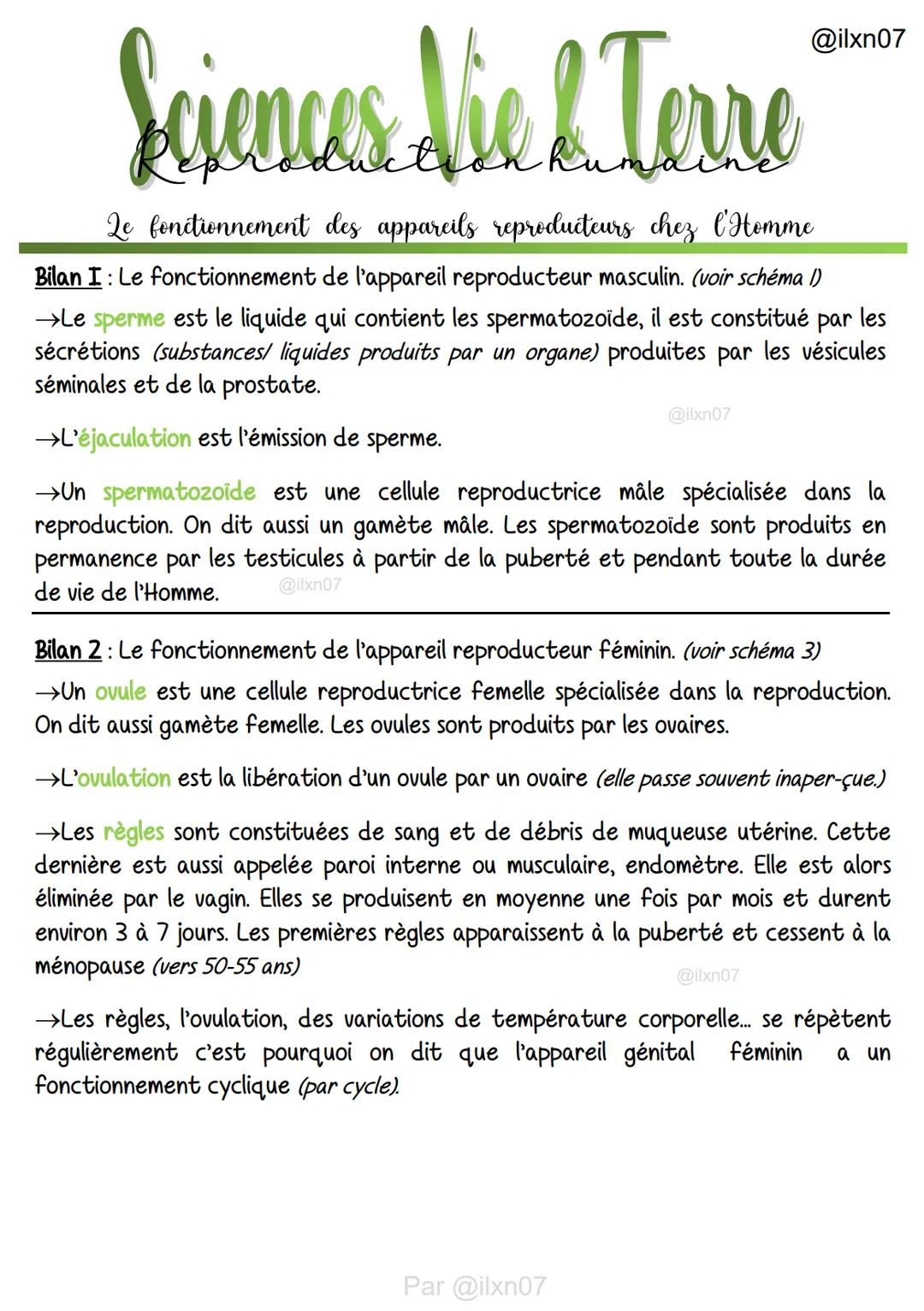 
<p>Le cycle menstruel de la femme comprend plusieurs phases, avec des événements spécifiques qui se produisent à chaque étape. La première 