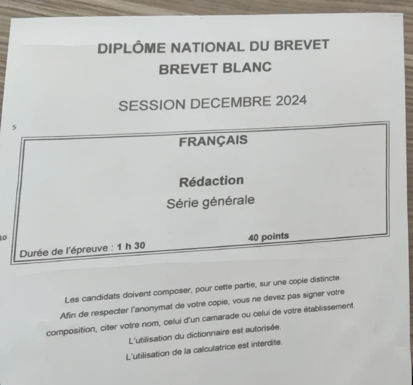 DIPLÔME NATIONAL DU BREVET
BREVET BLANC
SESSION DECEMBRE 2024
FRANÇAIS
Grammaire et compétences linguistiques
Compréhension et compétences d