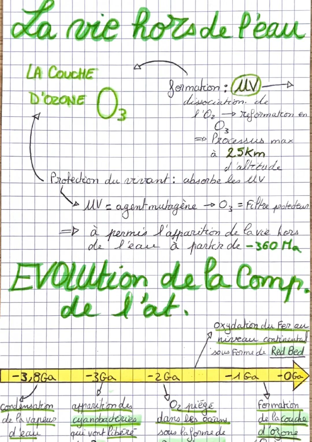 atmosphère
TERRESTRE ET LA VIE
L'at. Primitive ET LES
OCEANS
80% H₂0
15% CO₂ + 5% №₂
Leon you
forme il y a 4,56 Ga
Har
Co Dégazage
du mantea
