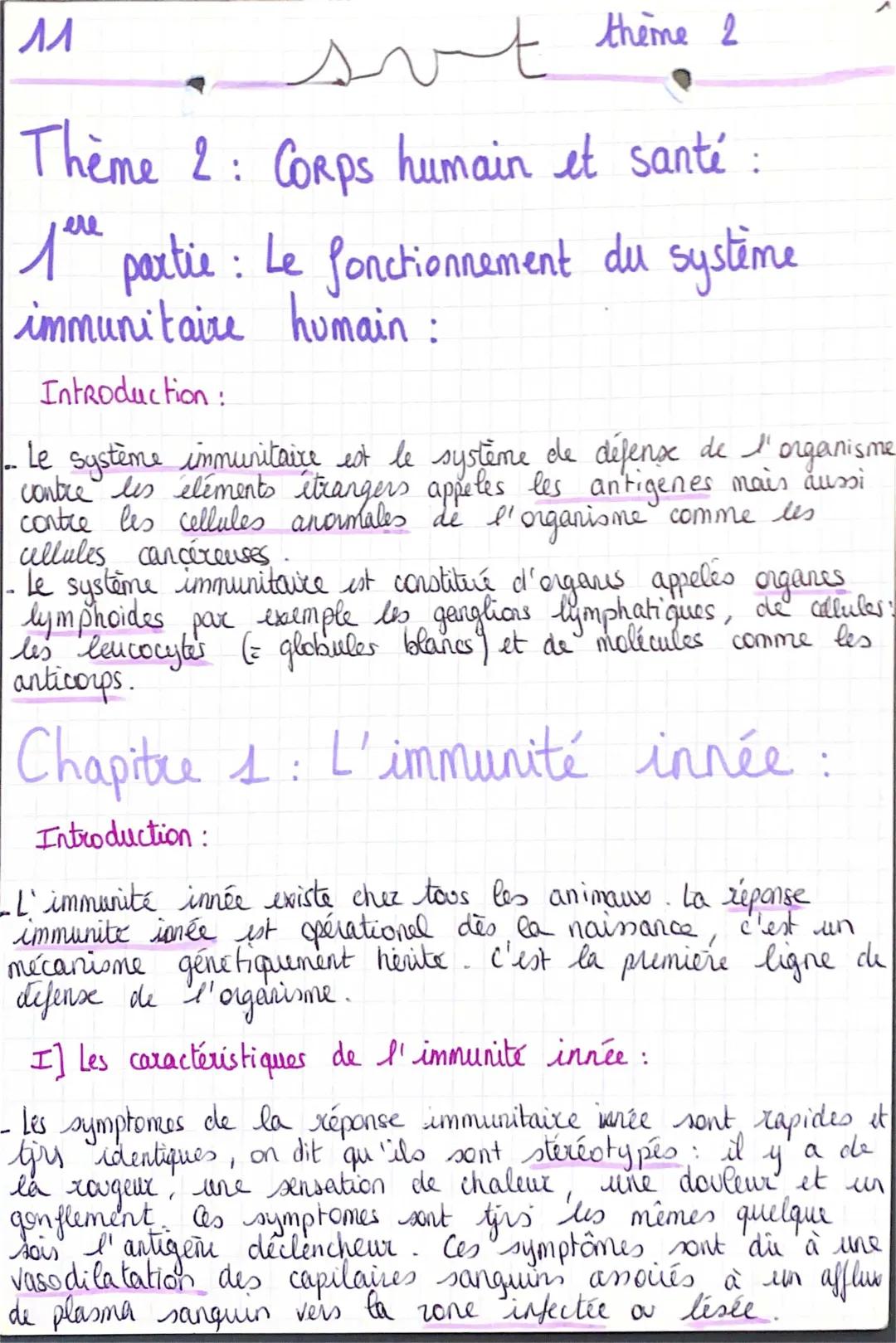 Le système immunitaire : cours résumé pour enfants