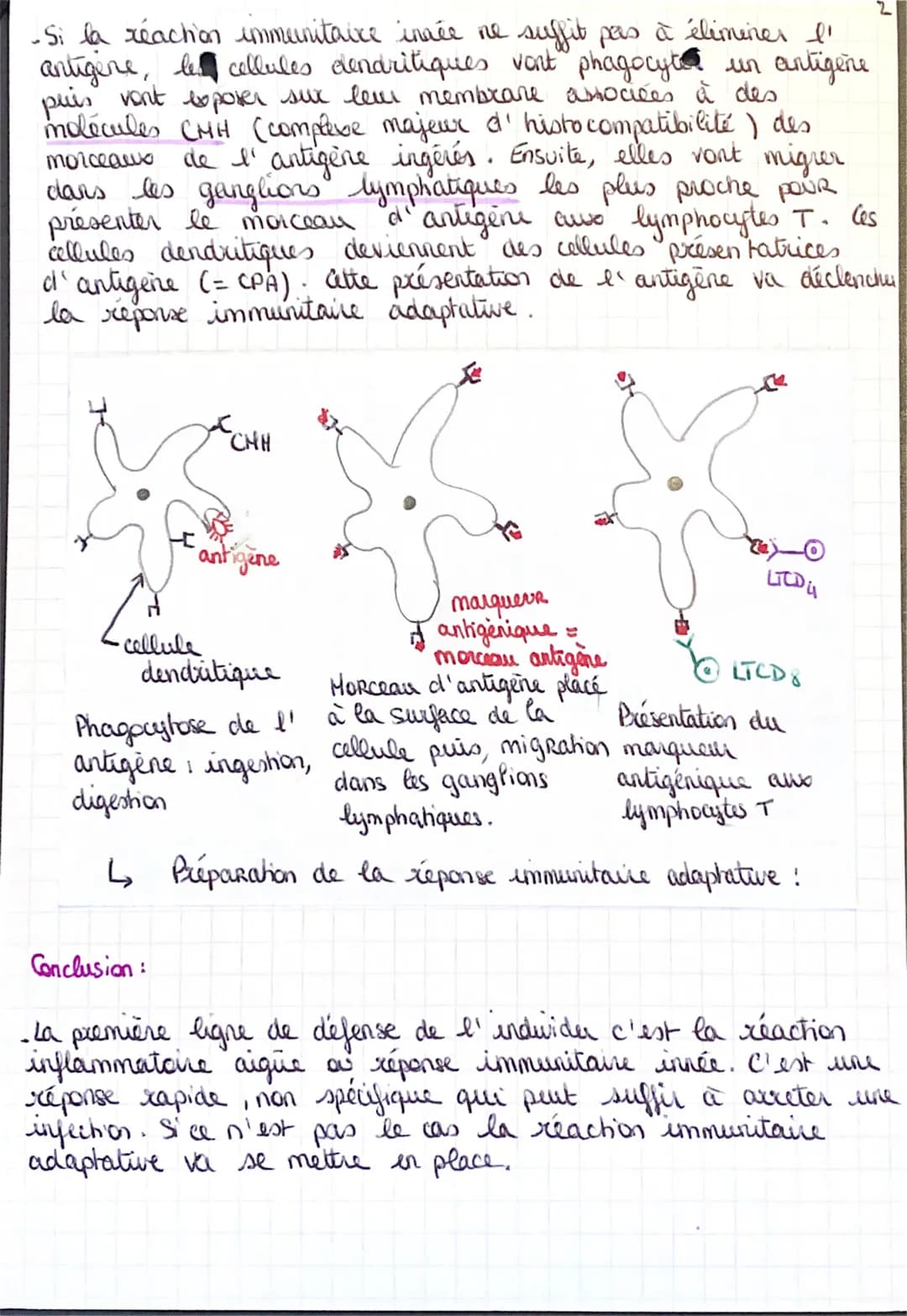 11
t thème 2
svt
Thème 2: Corps humain et santé :
1 the partie : Le fonctionnement du système
лече
immunitaire humain :
Introduction:
... Le