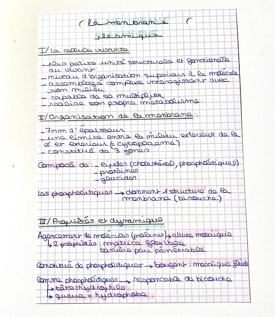 Clamenbrana
ܘܢܩ ܗܡܘܢ
I/La collule vivante
-plus petite unité structurale et fonctionelle
due vivant
miveau d'organisation superiour à la mol