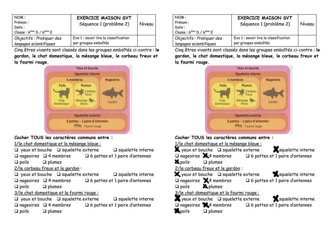 Classification des êtres vivants