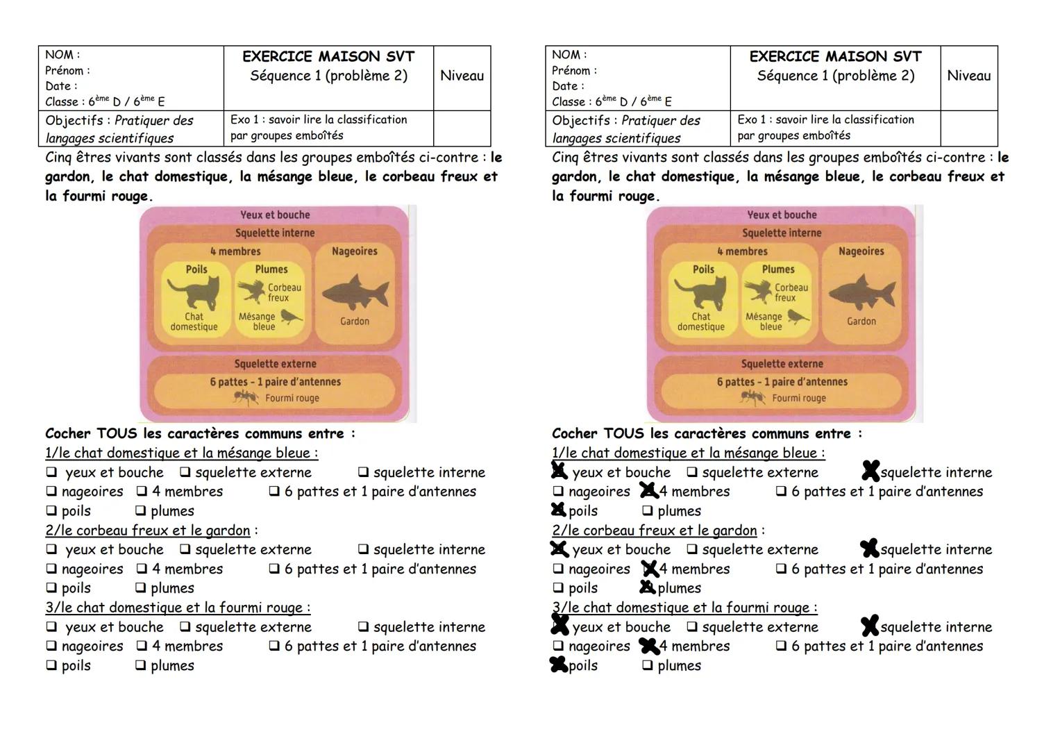 NOM:
Prénom :
Date :
Classe 6ème D/ 6ème E
Poils
Objectifs Pratiquer des
langages scientifiques
Cinq êtres vivants sont classés dans les gro
