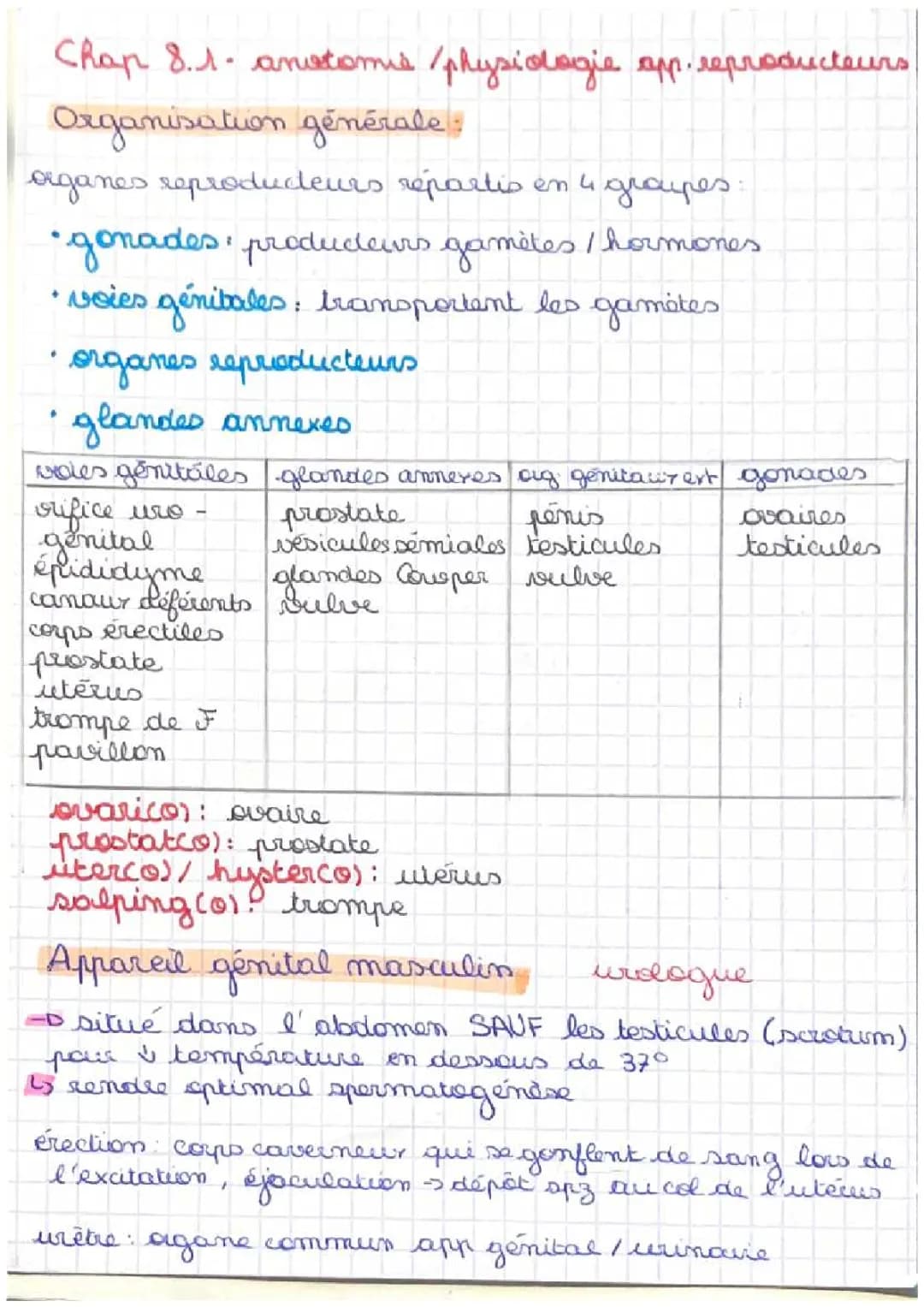 Anatomie et physiologie des appareils reproducteurs 