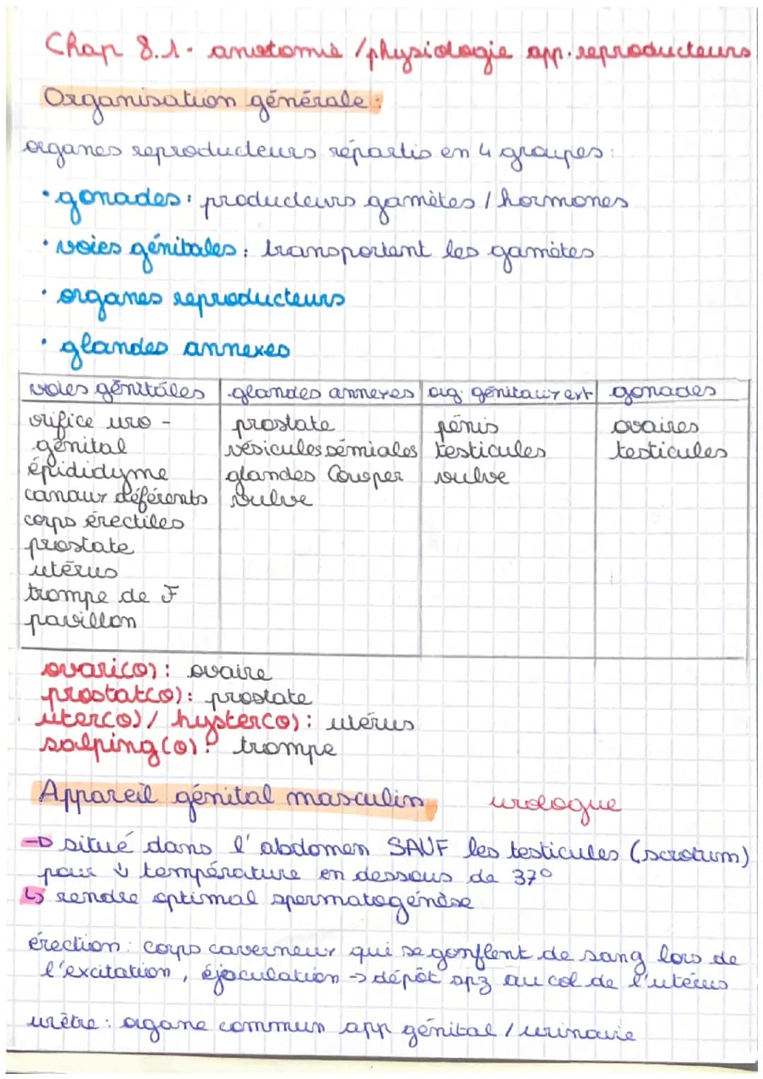 Chap 8. 1. anotomis / physiologie app. reproducteurs
Organisation générale :
organes reproducteurs répartis en 4 grapes
• gonades, producteu