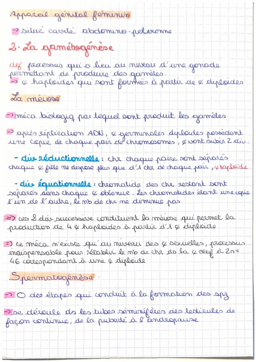 Chap 8. 1. anotomis / physiologie app. reproducteurs
Organisation générale :
organes reproducteurs répartis en 4 grapes
• gonades, producteu