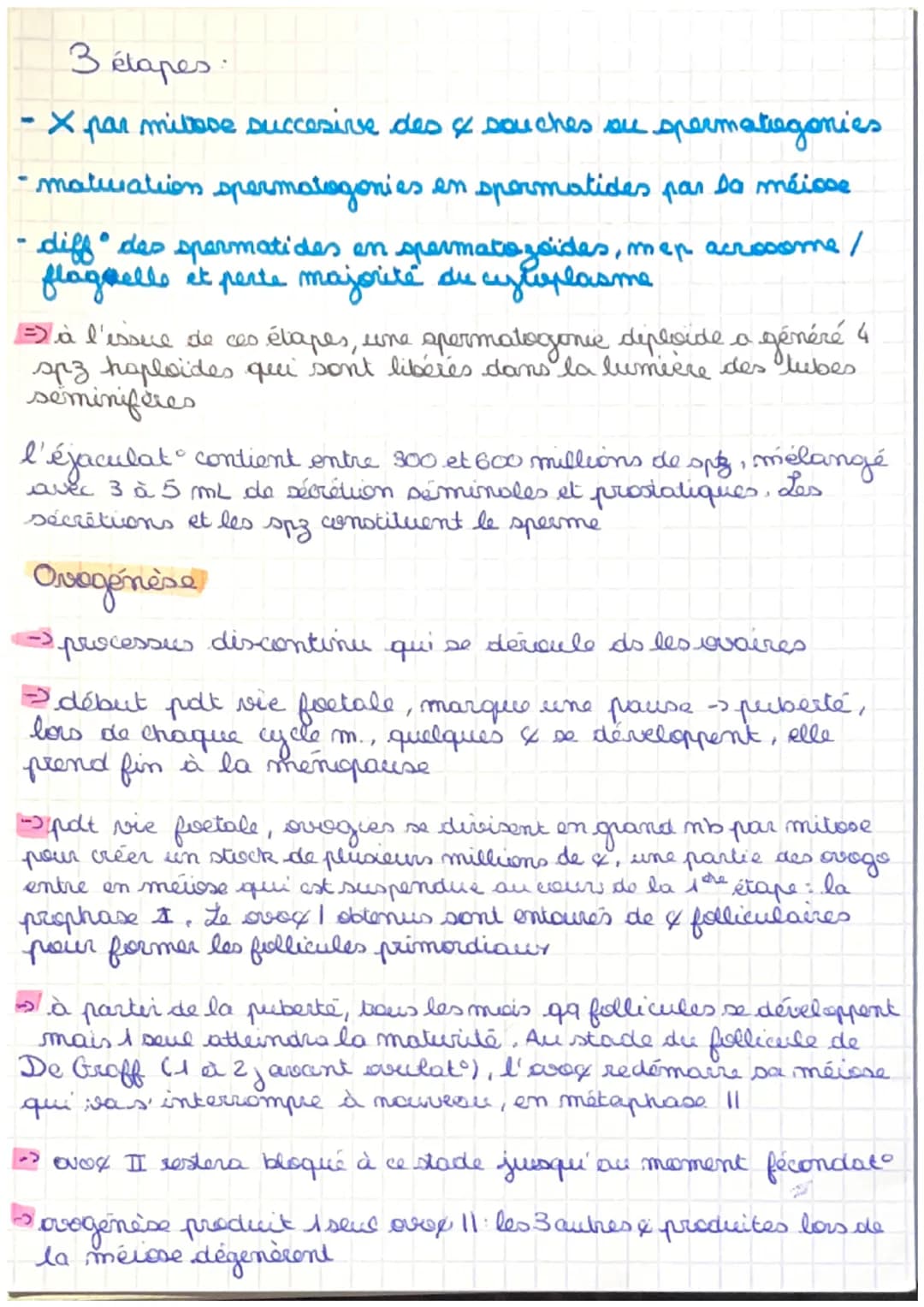 Chap 8. 1. anotomis / physiologie app. reproducteurs
Organisation générale :
organes reproducteurs répartis en 4 grapes
• gonades, producteu