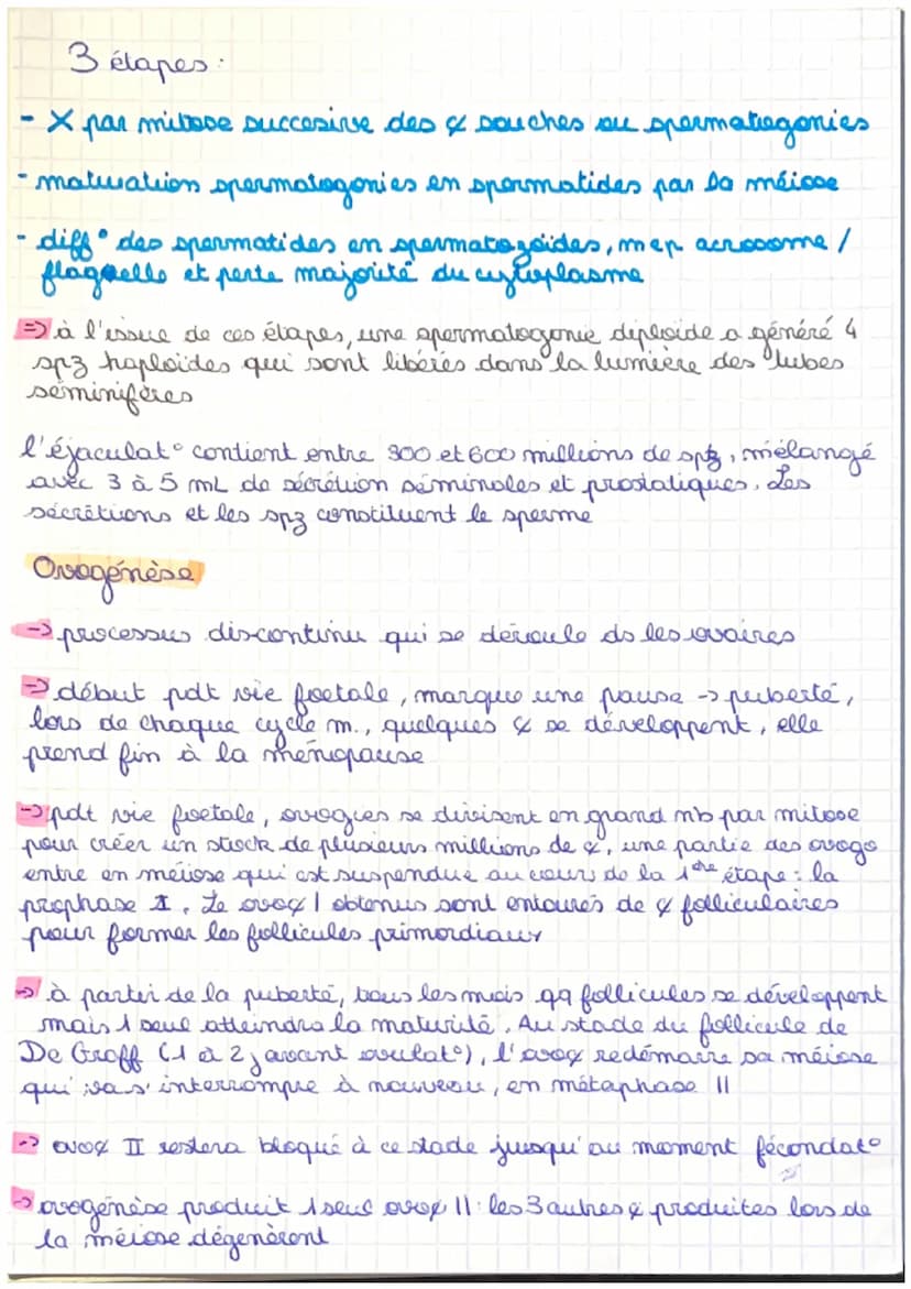 Chap 8. 1. anotomis / physiologie app. reproducteurs
Organisation générale :
organes reproducteurs répartis en 4 grapes
• gonades, producteu