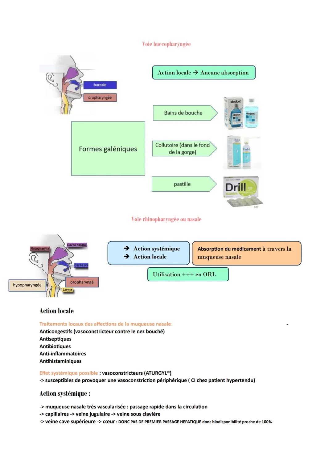 PHARMACOLOGIE GENERALE
Absorption : Correspond au transfert du médicament de son lieu d'administration vers la
circulation générale.
Mécanis