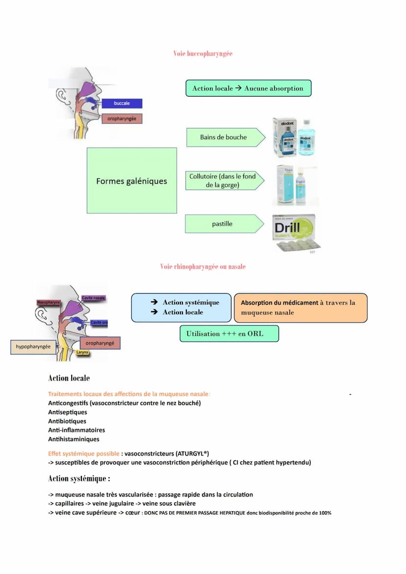 PHARMACOLOGIE GENERALE
Absorption : Correspond au transfert du médicament de son lieu d'administration vers la
circulation générale.
Mécanis