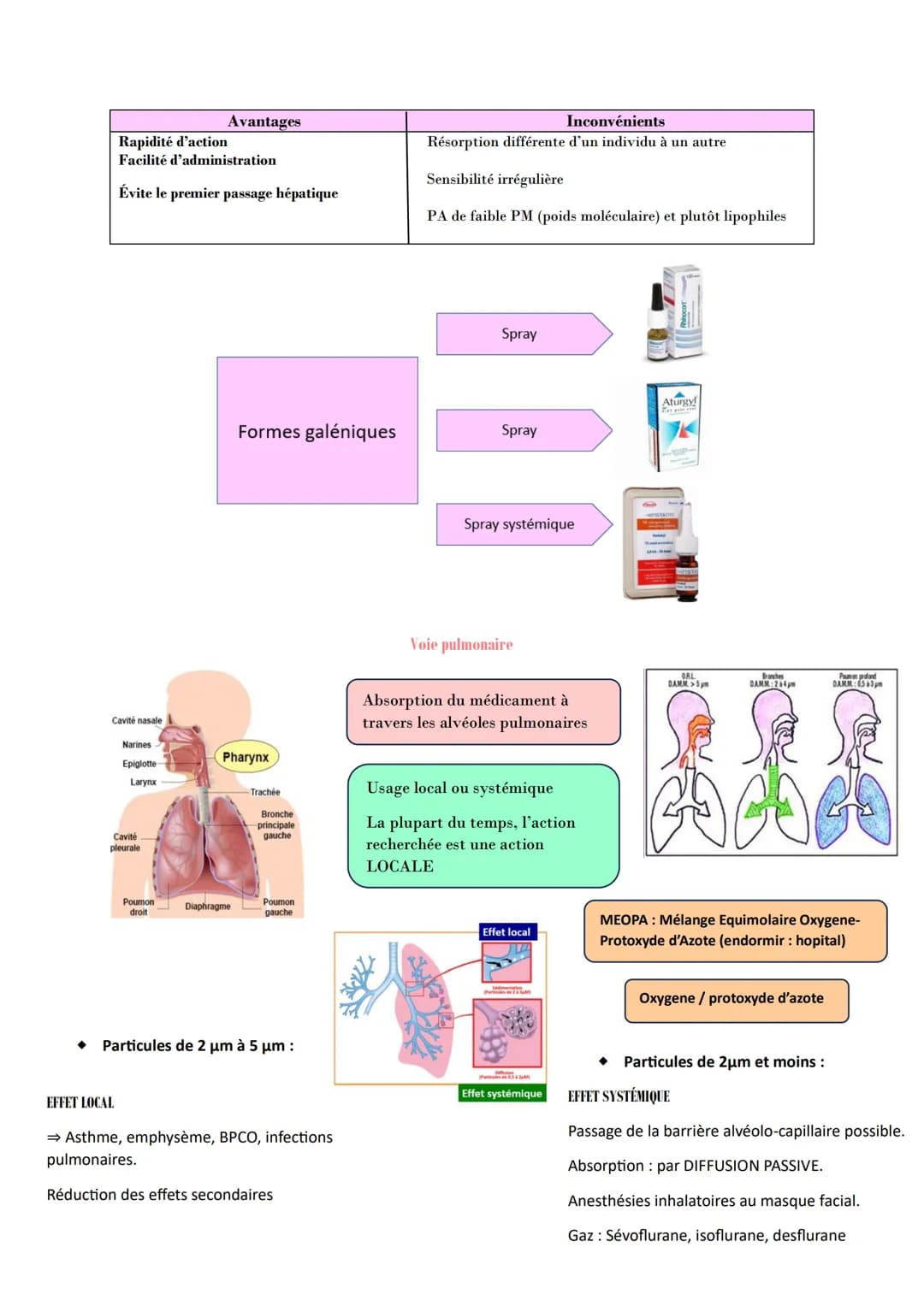PHARMACOLOGIE GENERALE
Absorption : Correspond au transfert du médicament de son lieu d'administration vers la
circulation générale.
Mécanis
