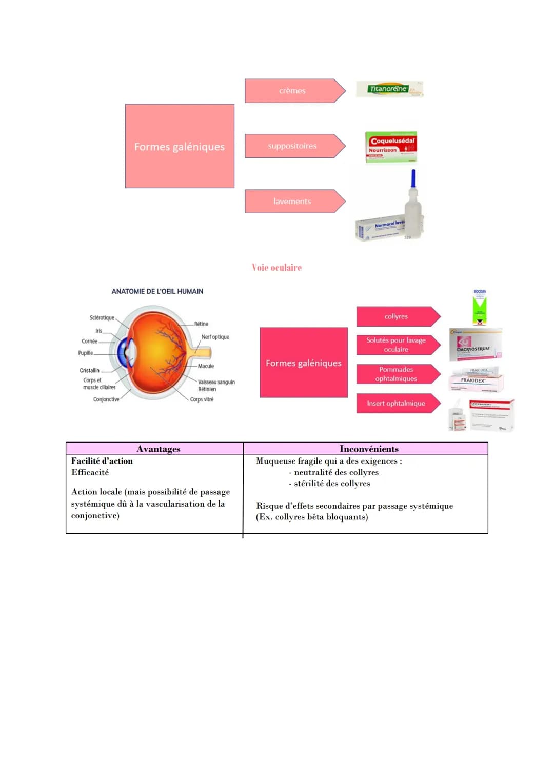 PHARMACOLOGIE GENERALE
Absorption : Correspond au transfert du médicament de son lieu d'administration vers la
circulation générale.
Mécanis