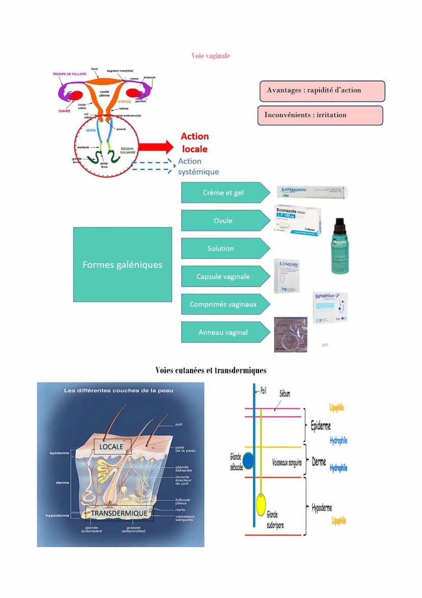 PHARMACOLOGIE GENERALE
Absorption : Correspond au transfert du médicament de son lieu d'administration vers la
circulation générale.
Mécanis