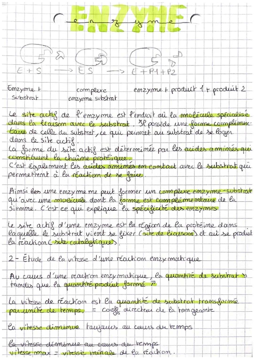 с
11
CHAP 4: Les emzymes, des biomolécules aux propriétés catalyphiques.
ex: l'albinisme l'emzyme de la tyrosimase me fonctiomme
pas bien.
I