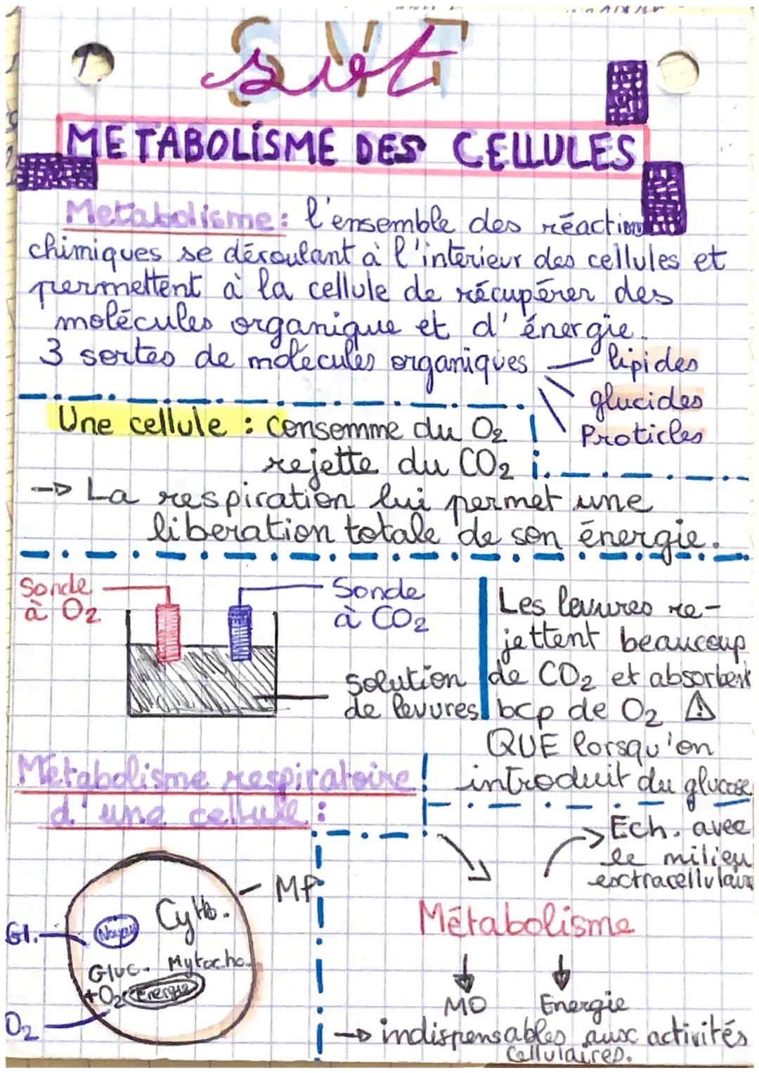 a
Metabolisme: l'ensemble des réaction
chimiques se déroulant à l'interieur des cellules et
permettent a la cellule de récupérer des
molécul