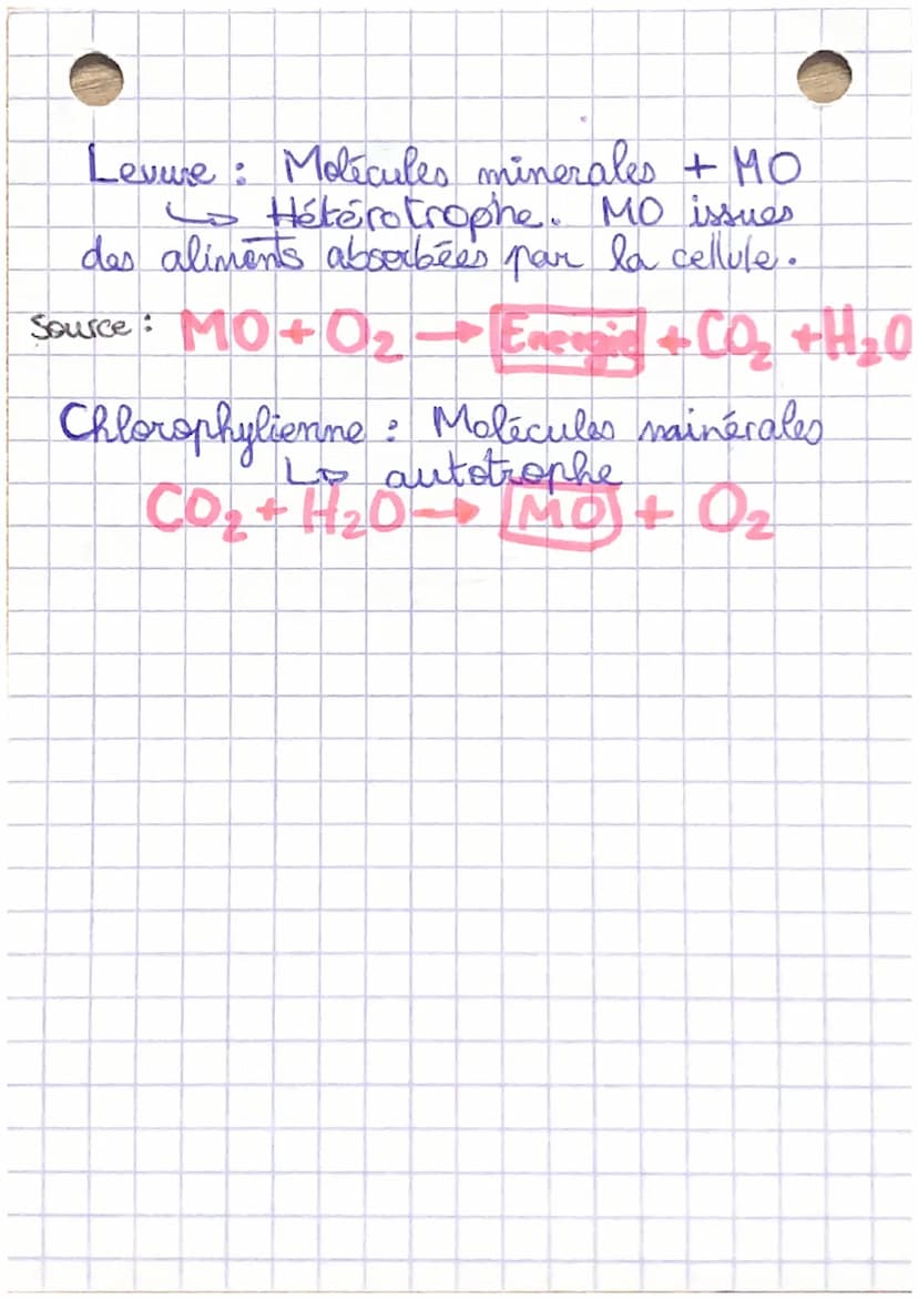 a
Metabolisme: l'ensemble des réaction
chimiques se déroulant à l'interieur des cellules et
permettent a la cellule de récupérer des
molécul